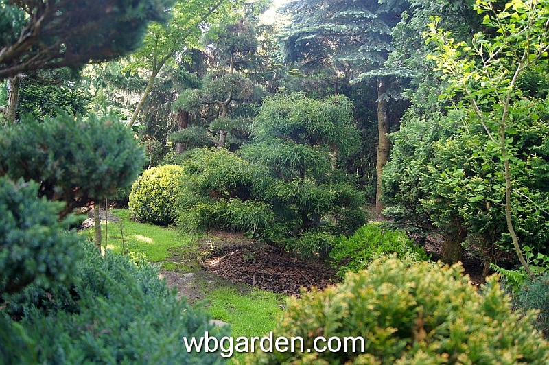 wbgarden spring 15.JPG